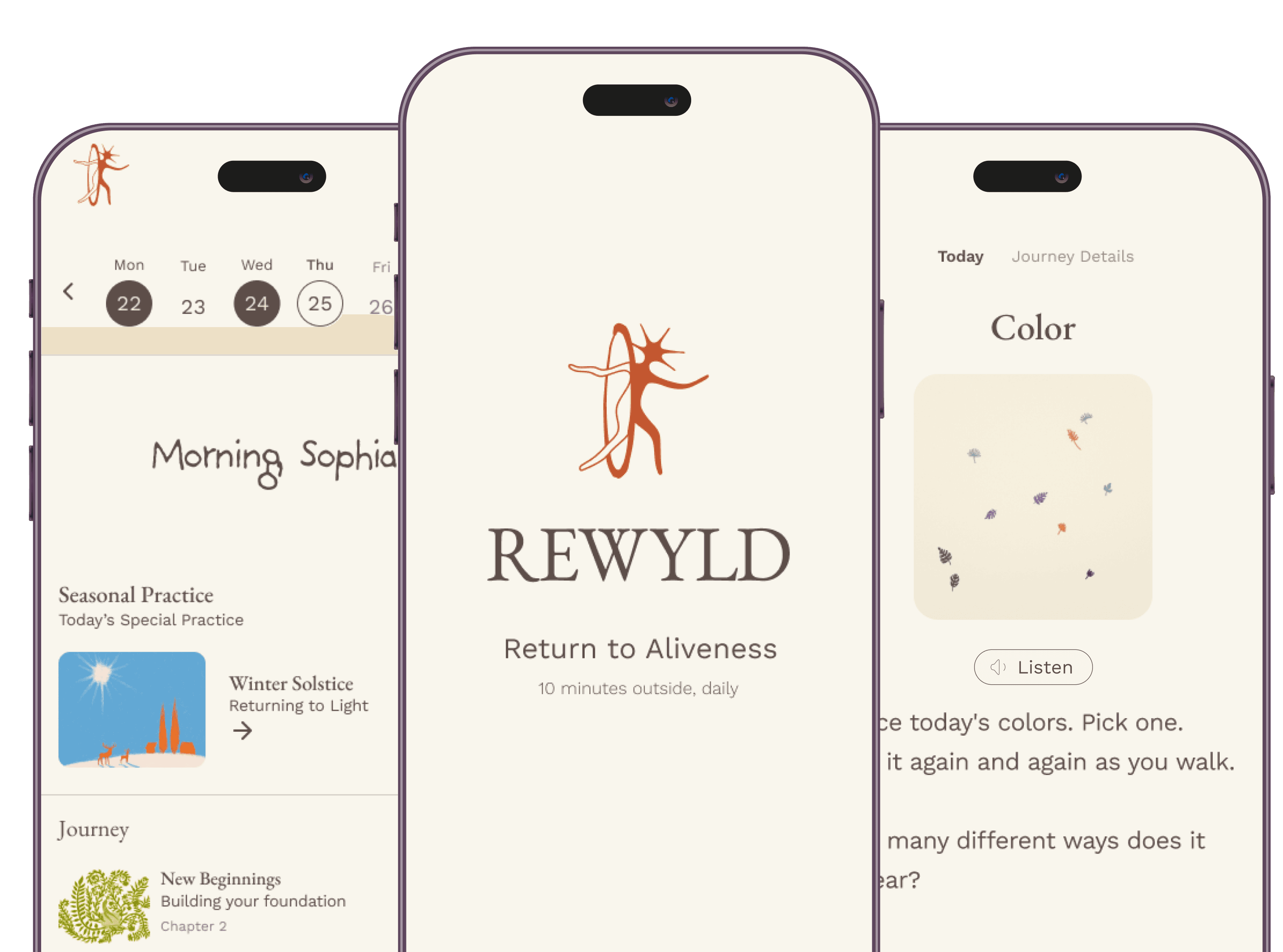 Rewyld experience